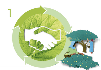 More Solidarity Sourcing